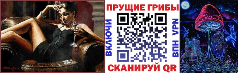 дарнет шоп  Курильск  Псилоцибиновые грибы прущие грибы 
